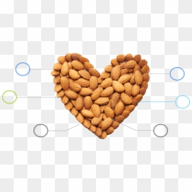 Benefits Of Almonds - Almond Png Transparent, Png Download - almond png