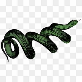 Colour Clip Arts - Transparent Transparent Background Snake Png, Png Download - serpent png