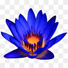 Ocean Blue Waterlily By Jeanicebartzen27 Ocean Blue - Blue Water Lily Png, Transparent Png - water lily png