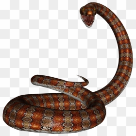 Serpiente Png, Transparent Png - serpent png