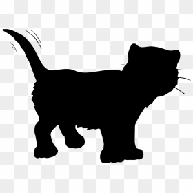 Clip Art, HD Png Download - cat tail png