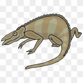 Chameleons, HD Png Download - chameleon png