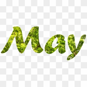 May Month Clip Art - May Month Transparent Background, HD Png Download - may png