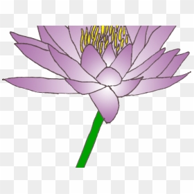 Water Lily Clipart Lily Pad - Clip Art, HD Png Download - water lily png