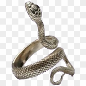 #png #snake #snakering #ring #freetoedit - Aesthetic Ring Snake, Transparent Png - serpent png