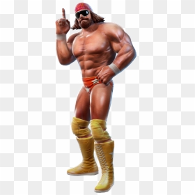 Randy Savage File - Wwe All Stars John, HD Png Download - savage png