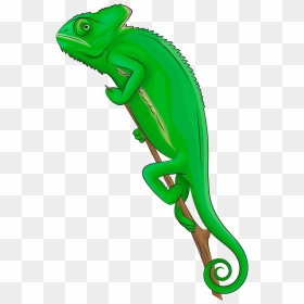 Chameleon Clipart, HD Png Download - chameleon png