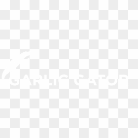 Gator, HD Png Download - gator png