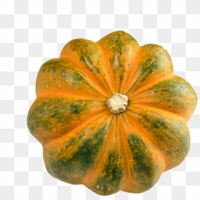 Acorn Squash Png Transparent Image - Acorn Squash, Png Download - squash png