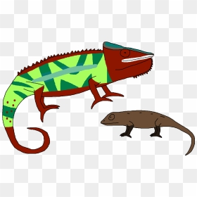 Animal Camouflage Chameleon - Common Chameleon, HD Png Download - chameleon png