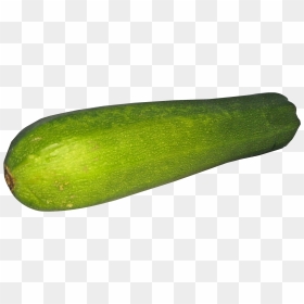 Zucchini With Transparent Background, HD Png Download - squash png