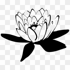Lotus Flower Green, HD Png Download - water lily png