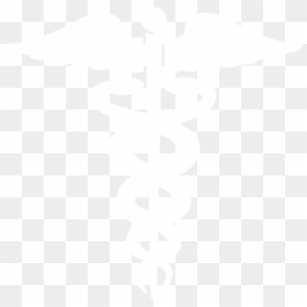 Caduceus - Wny Medical, HD Png Download - caduceus png