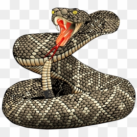 Rattle Snakes , Png Download - Rattlesnake Strike Tattoo, Transparent Png - snakes png