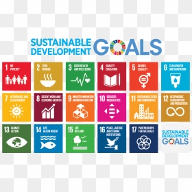 Printable Un Sustainable Development Goals, HD Png Download - impact png