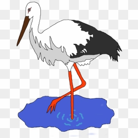 Stork In A Pond Clip Arts - Clipart Barza, HD Png Download - pond png