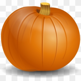 Free Clip Art Of A Pumpkin, HD Png Download - squash png