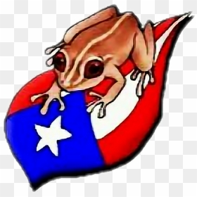 #puertorico Bandera Coqui - Coqui De Puerto Rico Dibujo, HD Png Download - bandera de puerto rico png