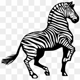 Zebra Clipart Black And White, HD Png Download - safari png