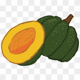 Png Transparent Download Collection Of Acorn High Quality - Cartoon Acorn Squash Transparent, Png Download - squash png