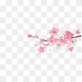 Flower Pink Watercolor Painting Illustration - Cherry Blossom Png Watercolor, Transparent Png - pink watercolor png