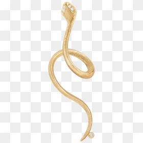 Indian Cobra, HD Png Download - snakes png