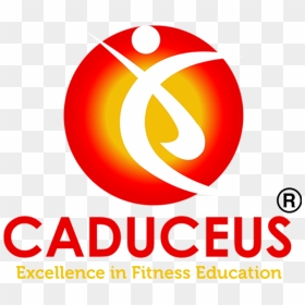 Caduceus Png, Transparent Png - caduceus png