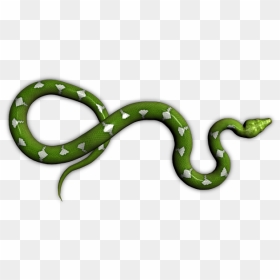 Transparent Green Snake Png, Png Download - snakes png