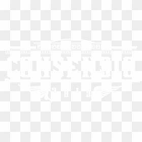 Png Format Twitter Logo White , Png Download, Transparent Png - twitter logo png white