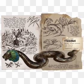 Ark Titanoboa, HD Png Download - snakes png