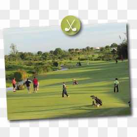 Activity Safaris Golf Safari - Grass, HD Png Download - safari png