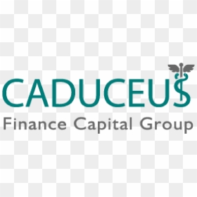 Office Gurus, HD Png Download - caduceus png