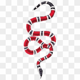 Gucci Snake Download Free Clipart With A Transparent - Gucci Snake Logo Png, Png Download - snakes png