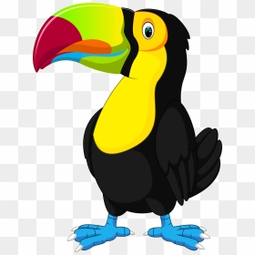 Toucan Png , Png Download - Toucan Clipart, Transparent Png - toucan png