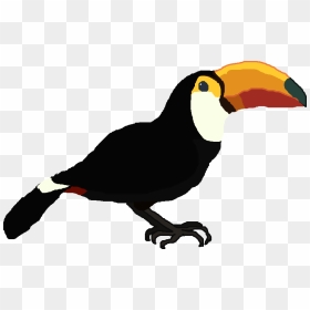 Toucan Png , Png Download - Toucan Png, Transparent Png - toucan png