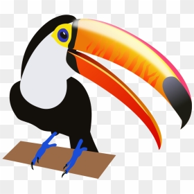 Toucan Clipart - Clipart Toucan, HD Png Download - toucan png