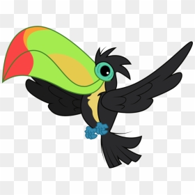 Cute Toucan Pencil And - My Little Pony Bird, HD Png Download - toucan png