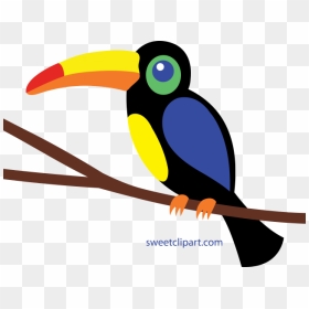 Huge Freebie Download - Toucan Clipart Png, Transparent Png - toucan png