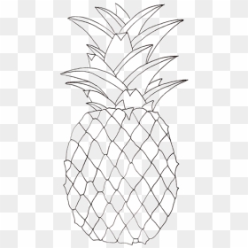 Pineapple Pictures To Colour, HD Png Download - pineapple clipart png