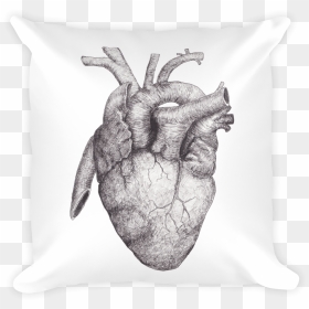 "anatomical Heart - Realistic Drawing Of Heart Anatomy, HD Png Download - anatomical heart png