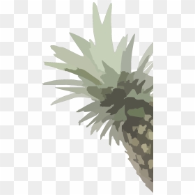 Pineapple, HD Png Download - pineapple clipart png