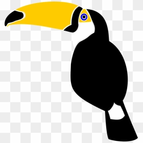 Toucan Vector Png, Transparent Png - toucan png