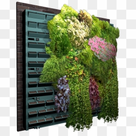 Vertical Garden Archicad, HD Png Download - wall vines png