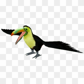 Keel Billed Toucan Png - Keel Billed Toucan Zt2, Transparent Png - toucan png