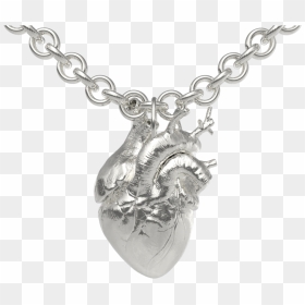 The Anatomical Heart - Cardcaptor Sakura, HD Png Download - anatomical heart png