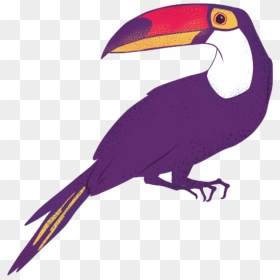- Toucan , Png Download - Animais Amazônia Png, Transparent Png - toucan png