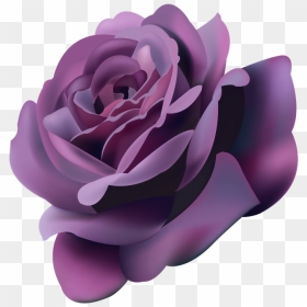 Violet Roses Png , Png Download - Violet Rose Clipart, Transparent Png - purple roses png