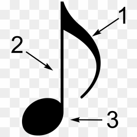The Three Parts Of A Music Note Are The Head, The Stem, - Parts Of A Note, HD Png Download - white music notes png