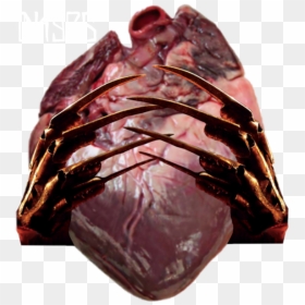 Chocolate, HD Png Download - freddy png