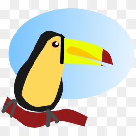 Png Cartoon Clip Toucan, Transparent Png - toucan png
